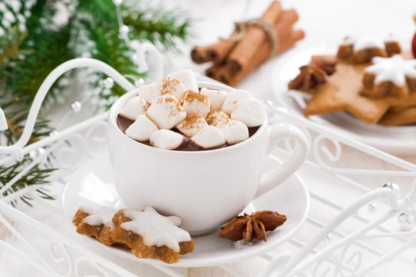 Chocolate quente picante com marshmallows — Fotografia de Stock