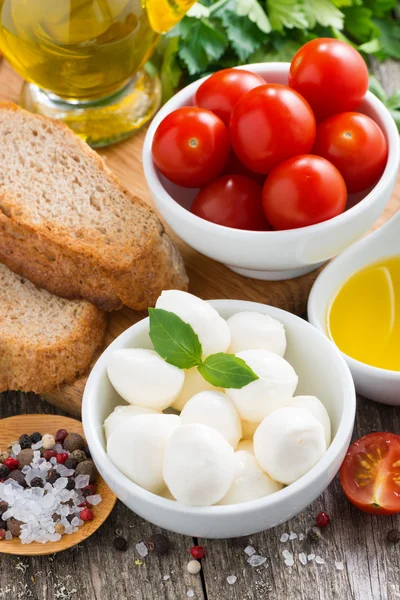 Läckra mozzarella och ingredienser för en sallad — Stockfoto