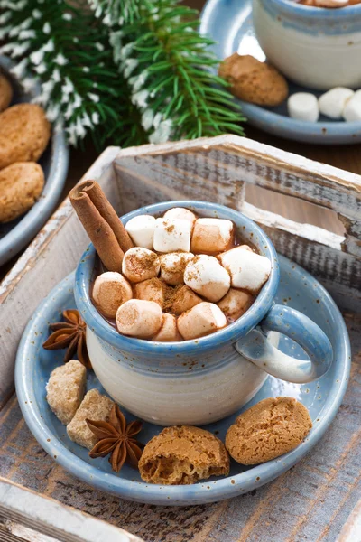 Würziger Kakao mit Marshmallows, Zimt und Keksen — Stockfoto