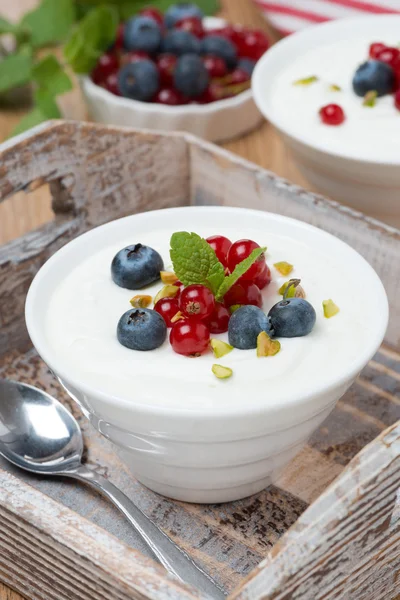 Naturjoghurt mit frischen Beeren in weißer Schüssel — Stockfoto