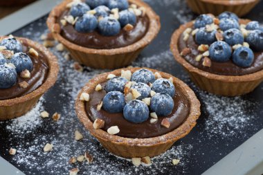 Çikolata mousse taze yaban mersini ve tartlets içinde fındık ile