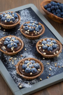 Çikolata mousse taze yaban mersini ve tartlets içinde fındık ile