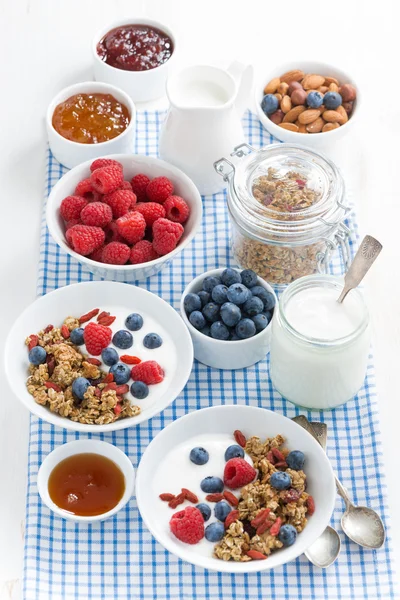 Ontbijt met muesli, yoghurt, verticale, bessen en honing — Stockfoto