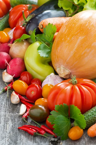 Surtido de verduras frescas de temporada — Foto de Stock