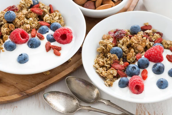 Homemade muesli with fresh berries, nuts and yogurt — Stock Photo, Image