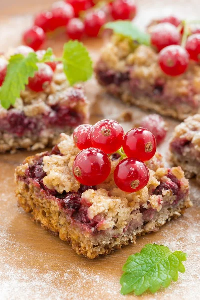 Berry tart with fresh red currants, close-up — Stock Photo, Image