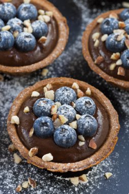Çikolata mousse taze yaban mersini ve tartlets içinde fındık ile