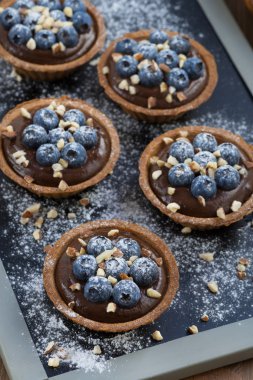 Çikolata mousse taze yaban mersini ve tartlets içinde fındık ile