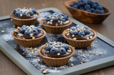 Çikolata mousse taze yaban mersini ve tartlets içinde fındık ile