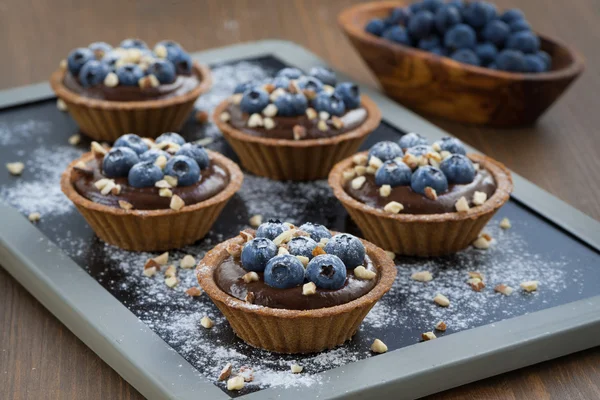 Chocolate mousse with fresh blueberries and nuts in tartlets — Stock Photo, Image