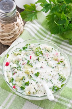 taze sebze ve kefir (okroshka), üstten görünüm ile soğuk çorba