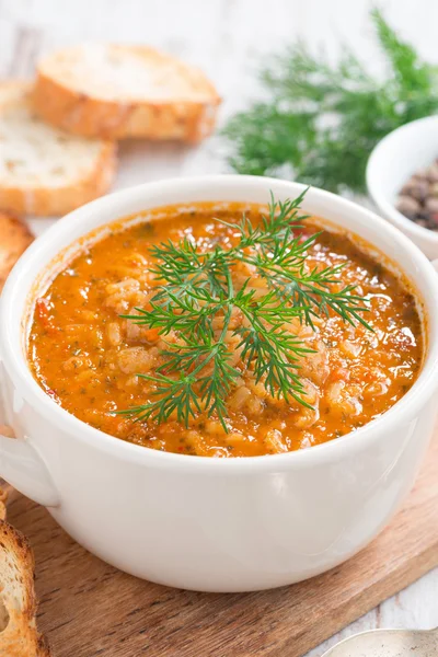 Sopa de tomate com arroz e legumes em uma panela, close-up — Fotografia de Stock