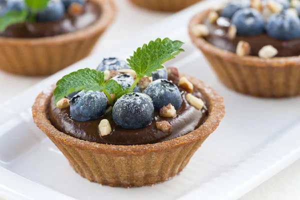 Chocolate mousse with blueberries and mint in tartlets, close-up — Stock Photo, Image