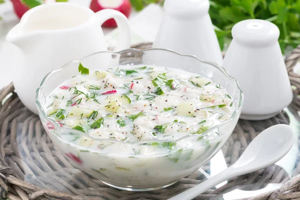 Sopa de legumes fria com kefir — Fotografia de Stock