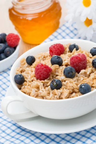 Oat porridge with fresh berries, vertical — Stock Photo, Image