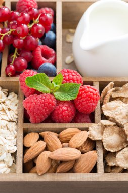 Kahvaltı - gıdalar yulaf ezmesi, granola, fındık, meyve ve süt