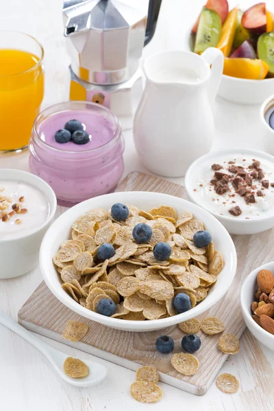 Crunchy flakes with blueberries and various yogurts — Stock Photo, Image
