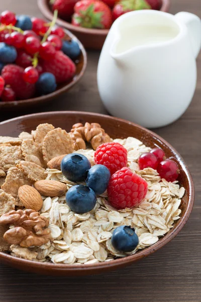 Oatmeal and muesli in a bowl, fresh berries and milk — Stock Photo, Image