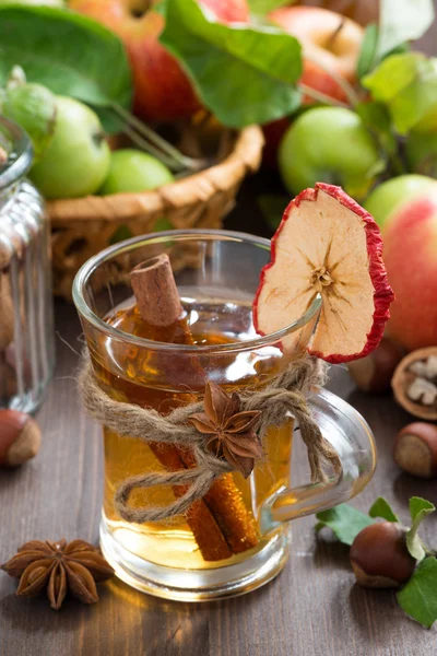 苹果酒与香料在木制的桌子上的玻璃杯 — 图库照片