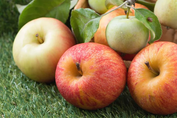 Frische Gartenäpfel auf grünem Gras, Nahaufnahme — Stockfoto