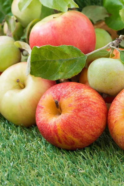 Verse tuin appels op groen gras, verticale, close-up — Stockfoto