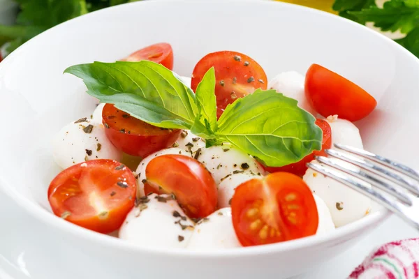 Salade met mozzarella, basilicum en cherry tomaten, close-up — Stockfoto