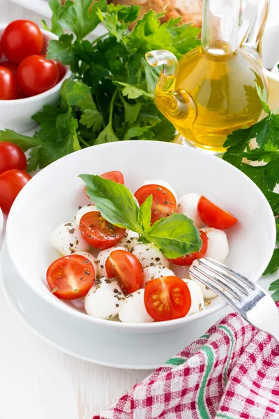 Ensalada con mozzarella, albahaca y tomates cherry —  Fotos de Stock