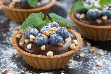 taze yaban mersini ve tartlets içinde nane çikolata mousse