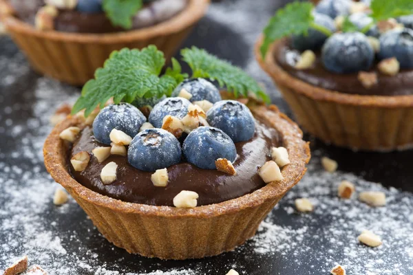 Mousse au chocolat aux myrtilles fraîches et menthe en tartelettes — Photo