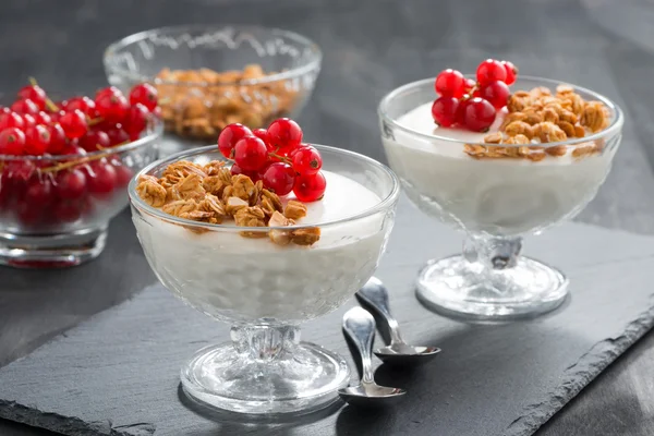 Creamy panna cotta with granola and red currants — Stock Photo, Image