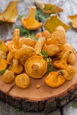 taze Cantharellus cibarius mantar ahşap zemin, dikey