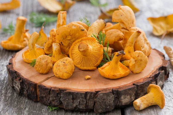 Свіжі гриби лисички на дерев'яному фоні — стокове фото