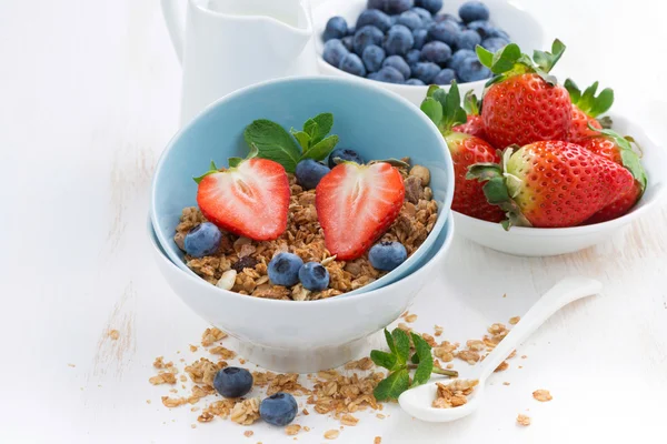 Aliments sains - granola, baies fraîches et cruche de lait — Photo