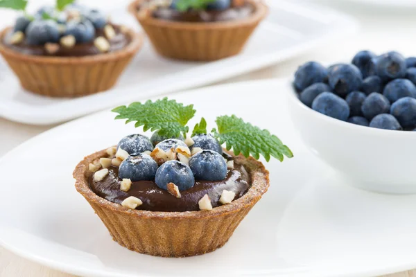 Chocolate mousse with blueberries, nuts and mint in tartlets on — Stock Photo, Image