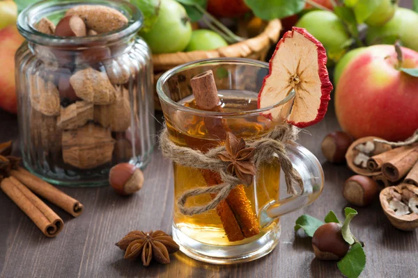 Appel cider met kruiden in glazen mok, horizontale — Stockfoto