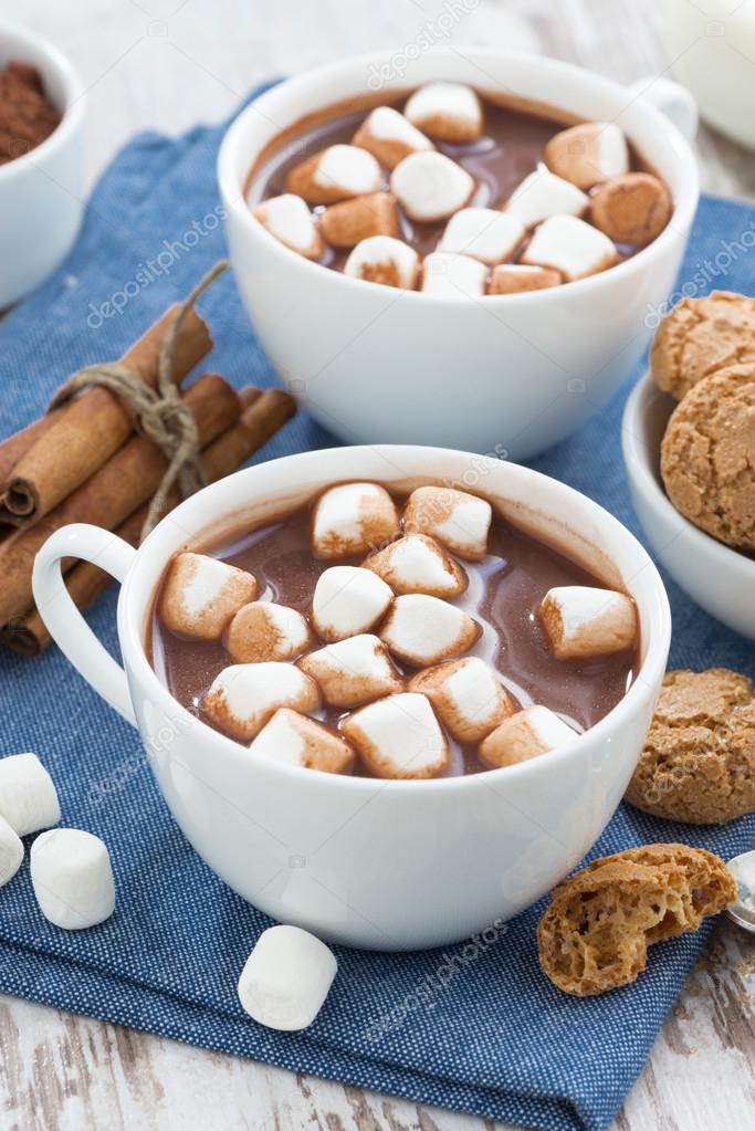 cup of cocoa with marshmallows, vertical