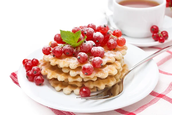 Waffles with red currant, sprinkled powdered sugar for breakfast — Stock Photo, Image