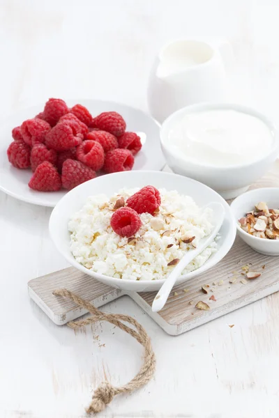 Fresh homemade cottage cheese with raspberry, milk and yogurt — Stock Photo, Image