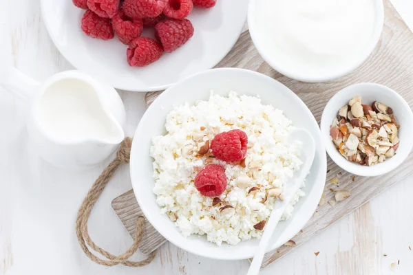 Fresh homemade cottage cheese with raspberry, milk and yogurt — Stock Photo, Image