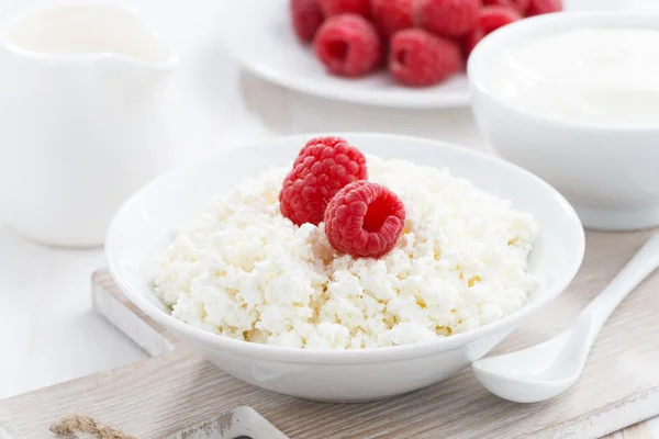 Fresh homemade cottage cheese with raspberry, milk and yogurt — Stock Photo, Image