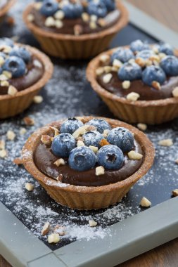 chocolate mousse with fresh blueberries in tartlets, vertical