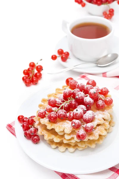 Stack of waffles with red currants, powdered sugar and tea — Stock Photo, Image