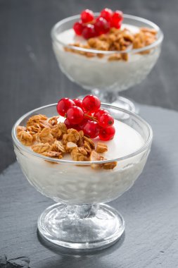 ev yapımı granola ve taze kırmızı kuş üzümü ile kremsi panna cotta