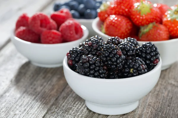 Blackberries in bowl and fresh garden berries — Stockfoto