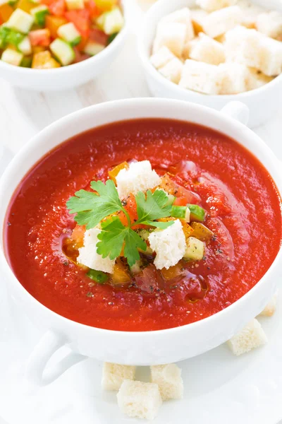 Fresh gazpacho in a white bowl, close-up, vertical — Zdjęcie stockowe