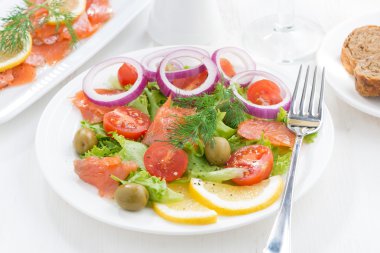 taze salata bir plaka üzerinde tuzlanmış somon ile