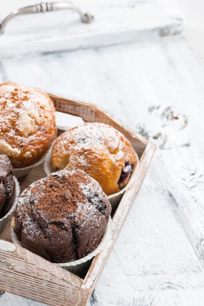 Assortment of fresh delicious muffins on tray, vertical — Stock Photo, Image