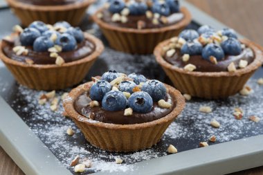 Çikolata mousse taze yaban mersini ve tartlets içinde fındık ile