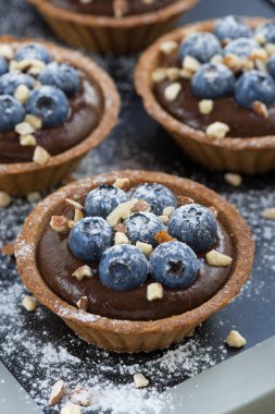 çikolata mousse tartlets içinde taze yaban mersini ile yakın çekim