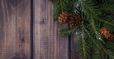 çam dalları ile koyu ahşap arka plan